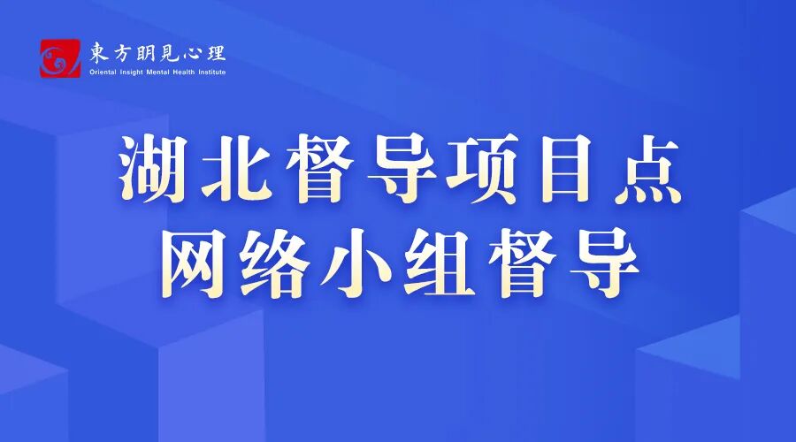 团体音乐治疗理论与实践整合式督导